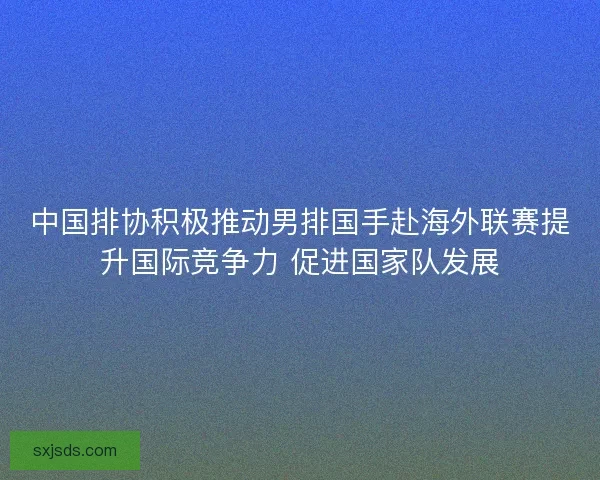 中国排协积极推动男排国手赴海外联赛提升国际竞争力 促进国家队发展