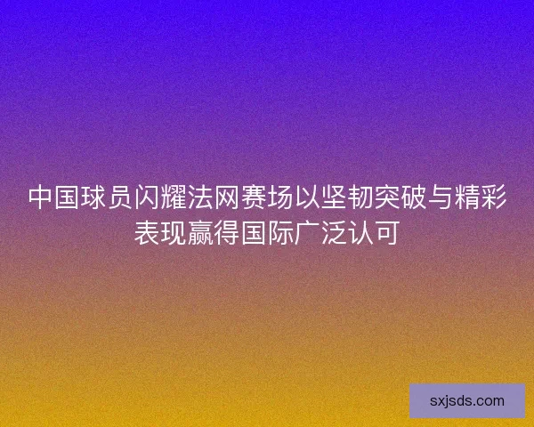 中国球员闪耀法网赛场以坚韧突破与精彩表现赢得国际广泛认可
