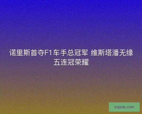 诺里斯首夺F1车手总冠军 维斯塔潘无缘五连冠荣耀